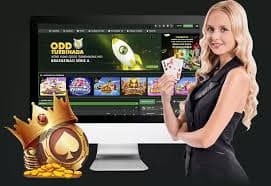 bet70 login